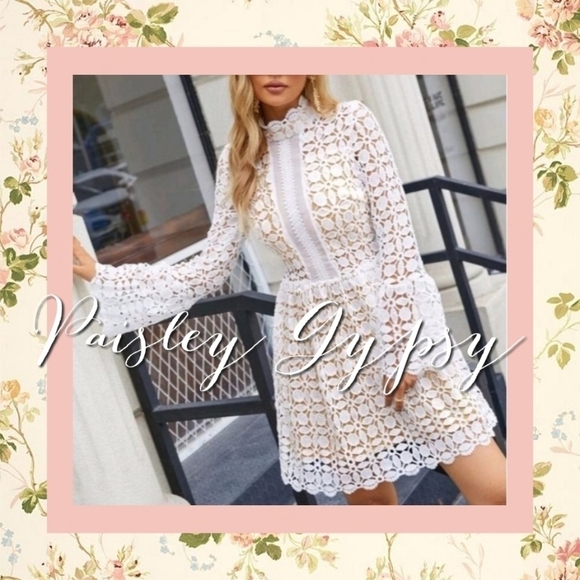 paisleygypsy Dresses & Skirts - LACE ROMANTIC SPECIAL EVENT DRESS